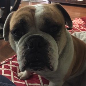 Meet your Posher, Rene